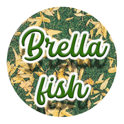 Brellafish